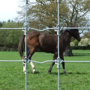 premium-horse-3-wire-fencing-400x400-300x300