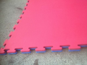 Martial Arts Mats 1x1 meter interlocking.