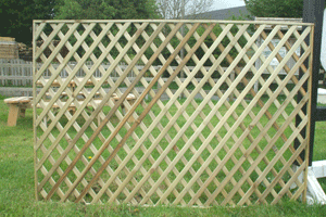 Trellis Fencing Panels