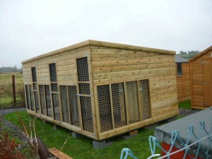 Dog Kennels, Dog Runs &amp; Cat Houses for Sale - Ireland